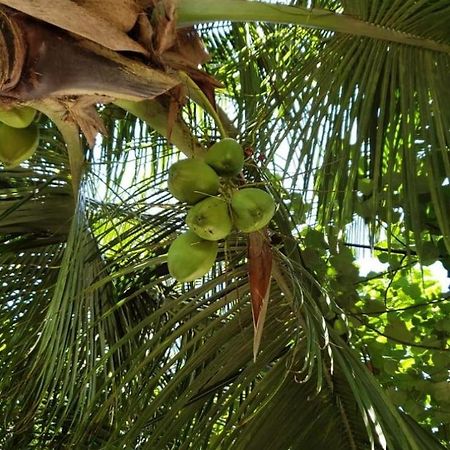 Tiwi Beach Resort & Spa Mombasa Exterior foto